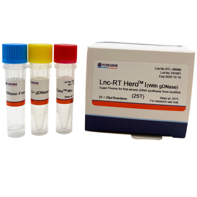 Kit Transkripsi Terbalik DNase Lnc-RT HeroTM I Super Premix 25×20ul Rxns