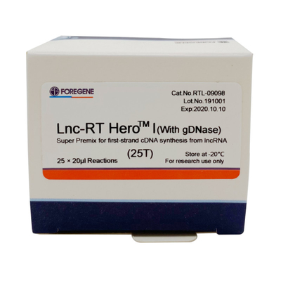 Kit Transkripsi Terbalik DNase Lnc-RT HeroTM I Super Premix 25×20ul Rxns