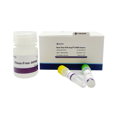 SYBR Green I Easy Premix System Kit PCR Waktu Nyata Untuk Reaksi Amplifikasi PCR