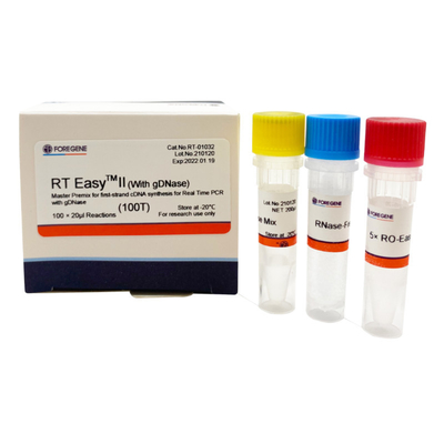 Kit Transkripsi Terbalik Premix Master Kit PCR Waktu Nyata Dengan DNase