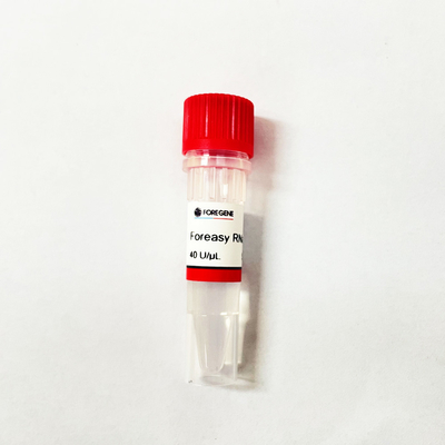 Contoh agen pelepas asam nukleat untuk Pemurnian DNA RNA sebelum reaksi PCR Waktu Nyata