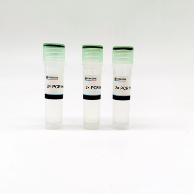 Foregene 2× PCR Premix System Kit PCR Sangat Cepat
