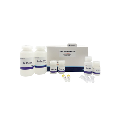 Kit Ekstraksi DNA Midi DNA Darah Hasil Tinggi DNA