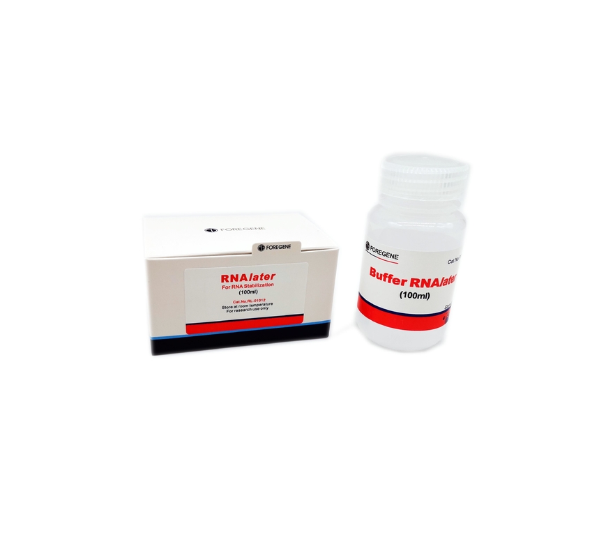 50ml 100ml 100ml×4 RNA Isolation Kits Solusi Perlindungan RNAlater Untuk Sampel Jaringan