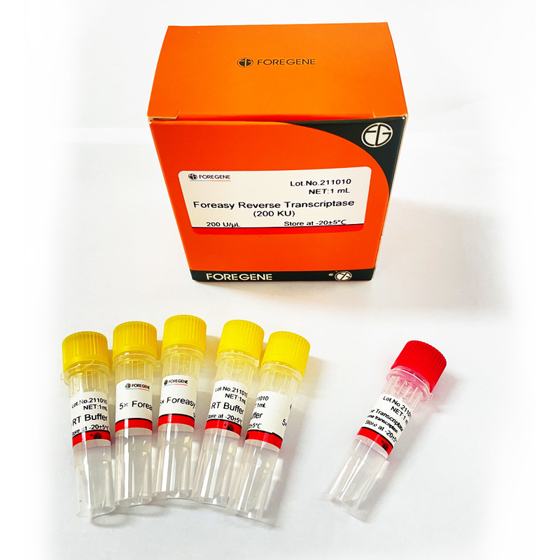 Foreasy M-MLV Reverse Transcriptase Untuk CDNA Synthesis Primer Extension PCR Kit Dengan DNA Polymerase