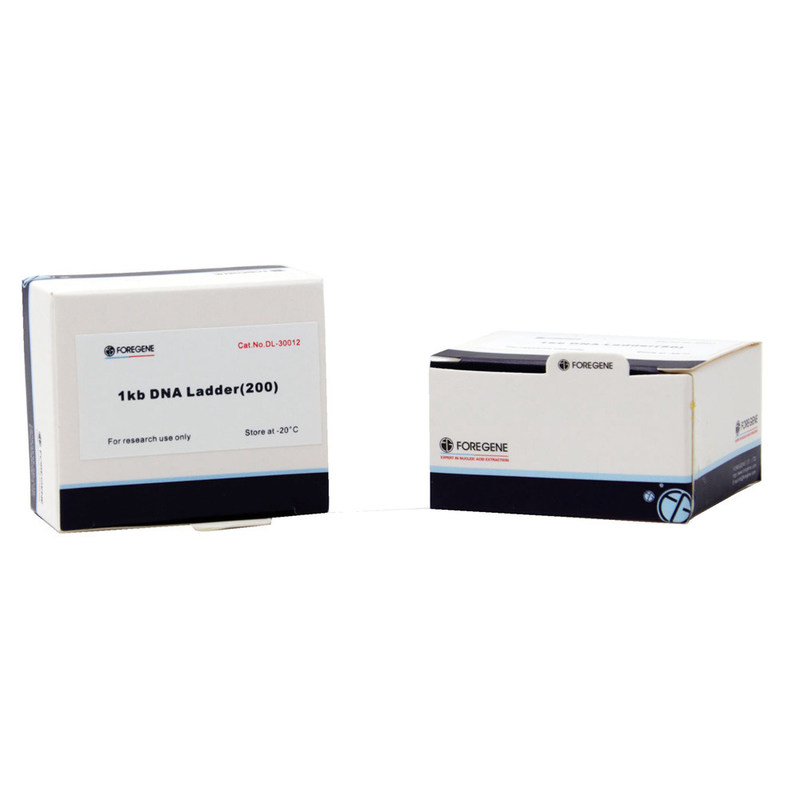 DNA Marker 2000 100 Tes 500 L Kemasan 100bp-2000bp Untuk Elektroforesis