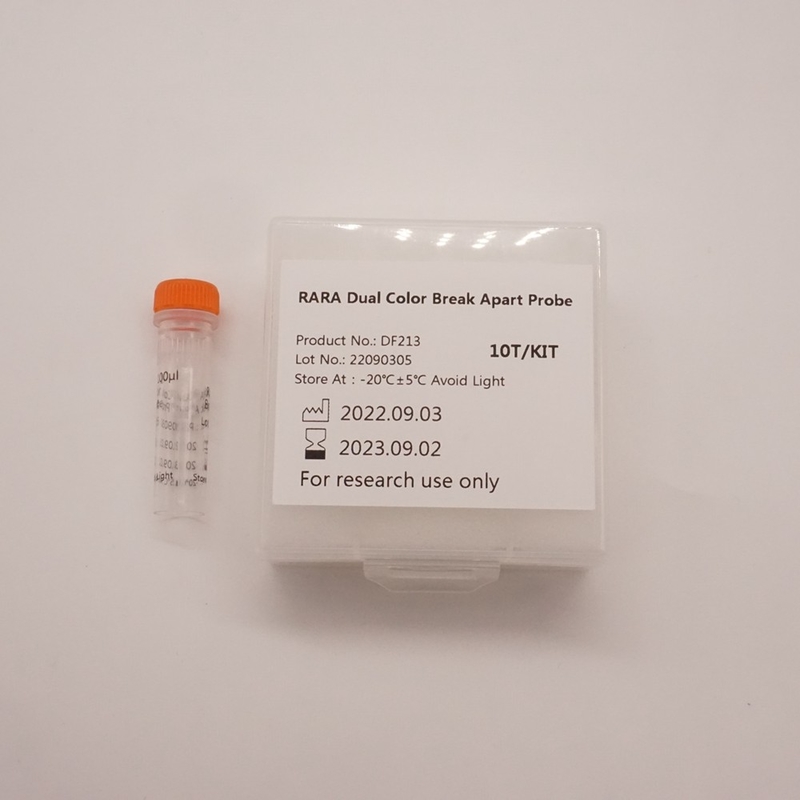 RARA Dual Color Break Apart Probe Untuk Mendeteksi Abnormalitas Gen RARA Manusia