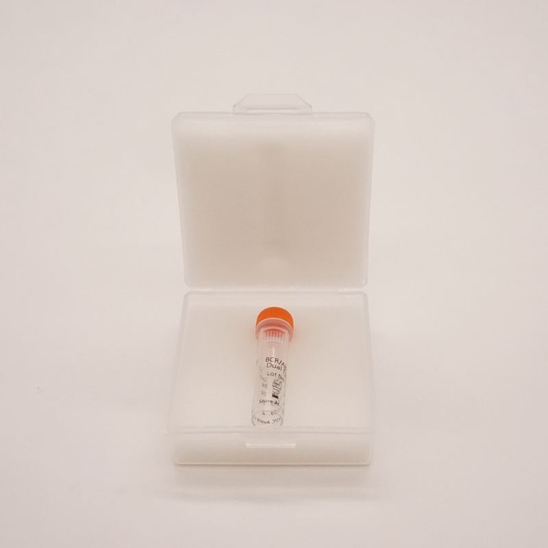 Fluoresensi Dalam Reagen Hibridisasi Situ BCR ABL1 Dual Color Dual Fusion Probe