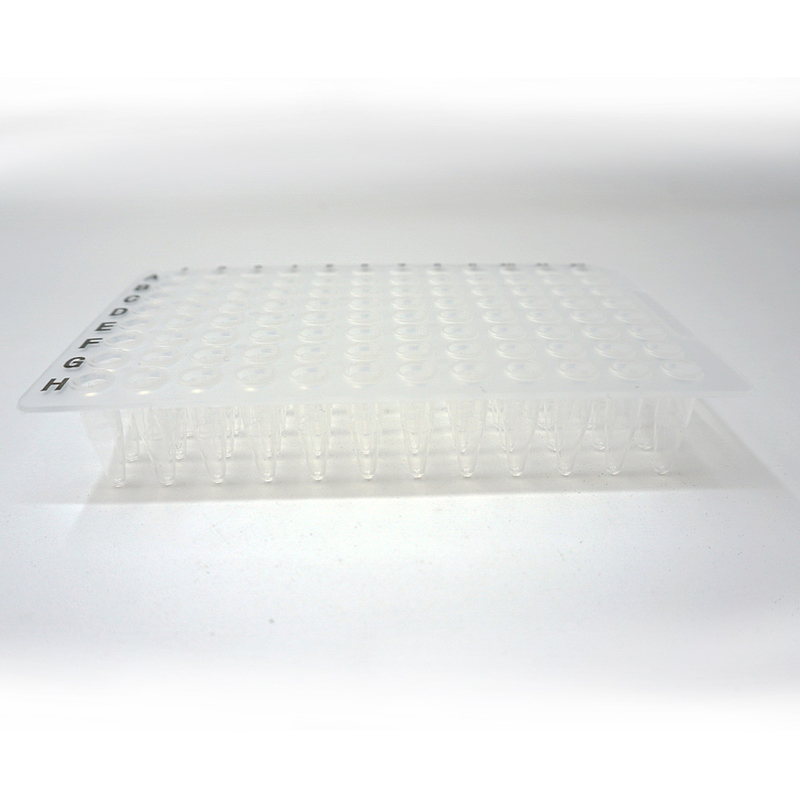 Foregene 10 Piring/Kit Lab Habis Transparan 96 Sumur PCR Piring 100ul 200ul