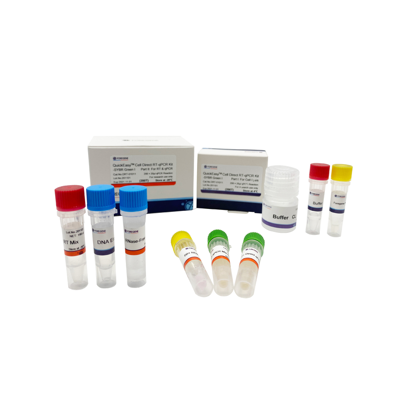 Buffer CL Satu Langkah RT QPCR Kit 200T 1000T Sel Kultur RT-QPCR Langsung