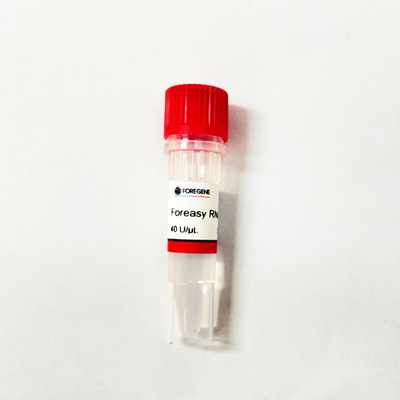 Contoh agen pelepas asam nukleat untuk Pemurnian DNA RNA sebelum reaksi PCR Waktu Nyata