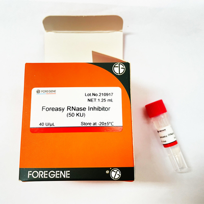 Perlindungan RNA Foreasy RNase Inhibitor Untuk Kit Transkripsi Sistem Transkripsi Terbalik
