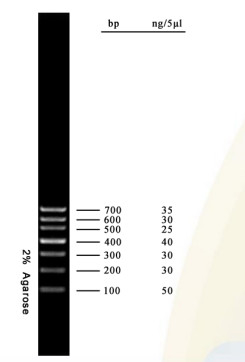 DNA Marker Agarose Gel PCR Kit Tangga DNA 700bp Untuk Tes Biologi Molekuler