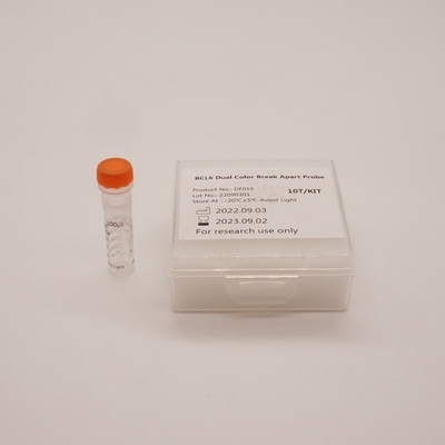 BCL6 Dual Color Break Apart Probe Untuk Mendeteksi Abnormalitas Gen BCL6 Manusia