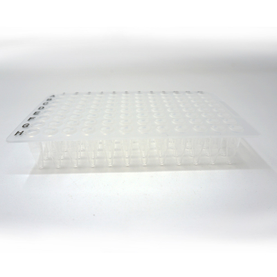 Foregene 10 Piring/Kit Lab Habis Transparan 96 Sumur PCR Piring 100ul 200ul